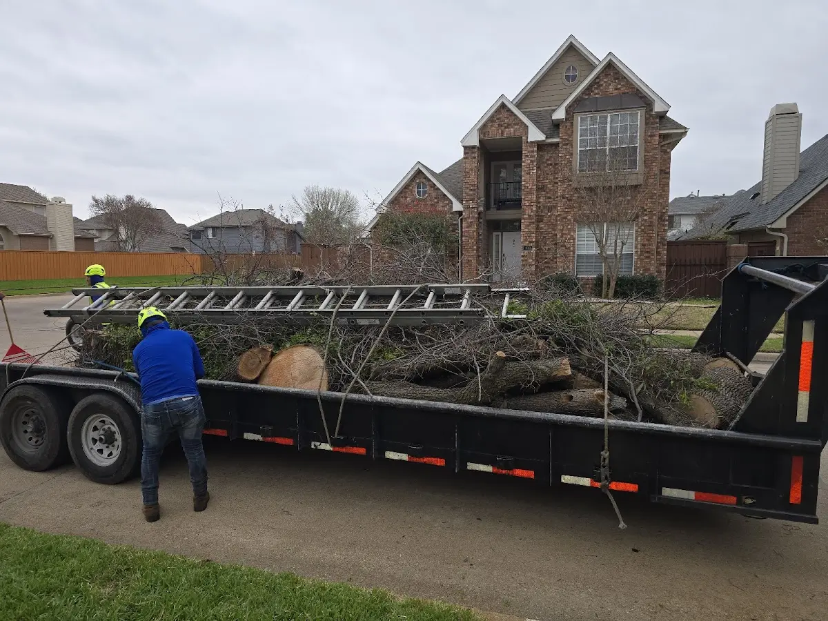Expert Tree Removal with proper safety equipment in Pinckney